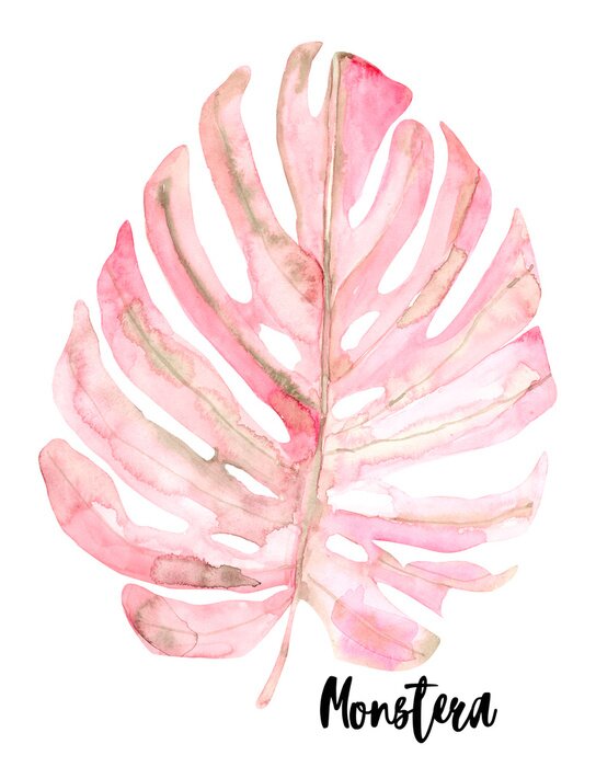 Poster  Feuille de monstera aquarelle rose