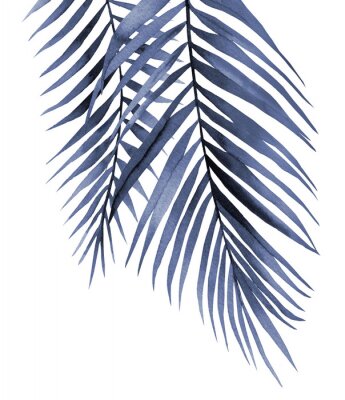 Poster  Feuille de palmier bleue pendante