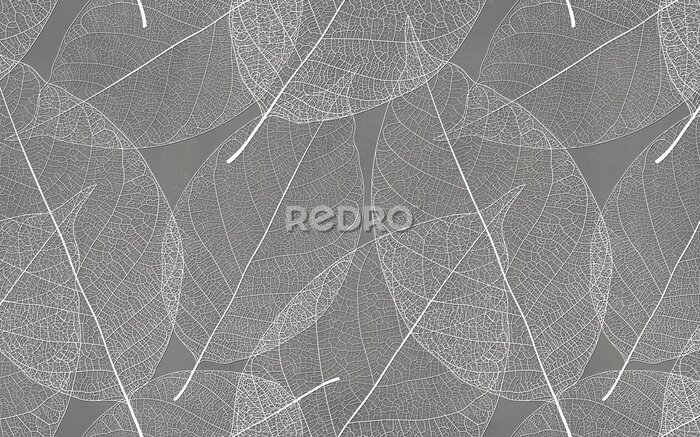 Poster  Feuilles blanches sur fond gris