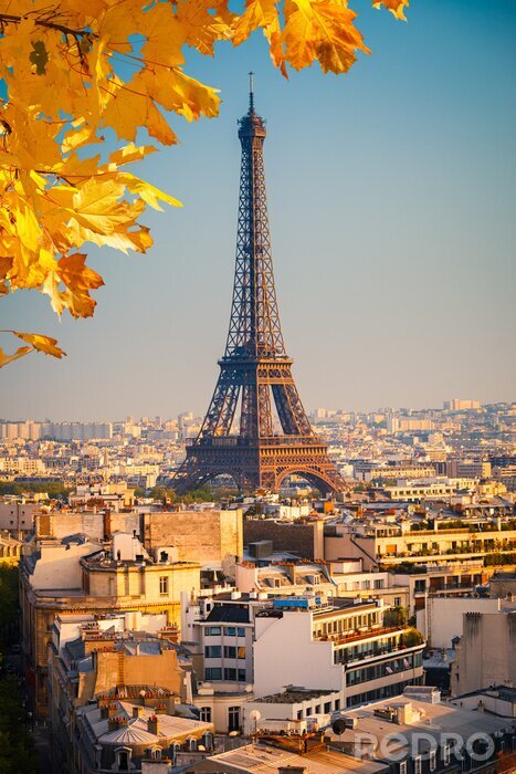 Poster  Feuilles d'automne à Paris