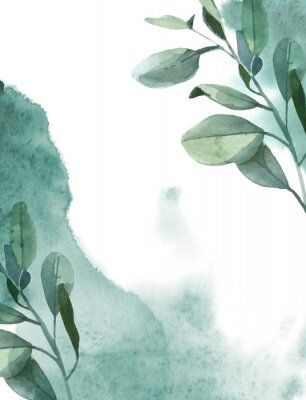 Poster  Feuilles d'eucalyptus vert et fond aquarelle