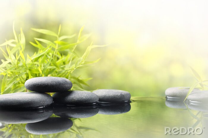 Poster  Feuilles de bambou, pierres et eau