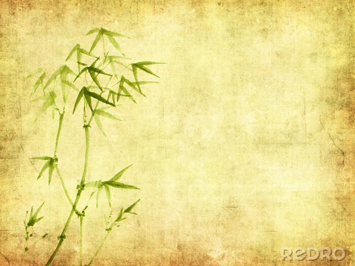 Poster  Feuilles de bambou sur un fond vieilli