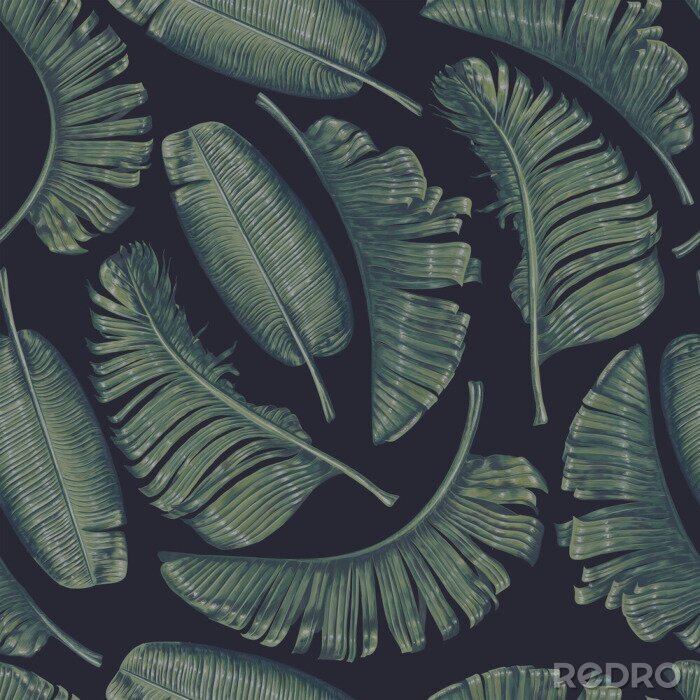 Poster  Feuilles de bananier roulées