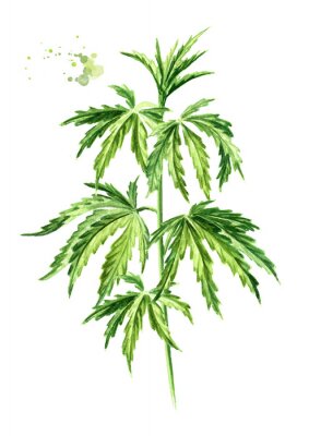 Poster  Feuilles de cannabis tropical peintes
