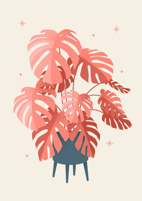 Poster  Feuilles de monstère de saumon dans un pot moderne