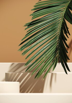 Poster  Feuilles de palmier projetant une ombre sur le podium