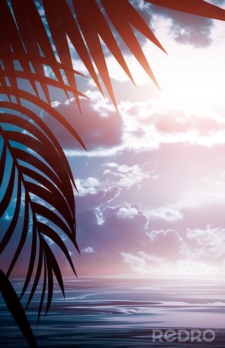 Poster  Feuilles de palmier sur fond de nuages