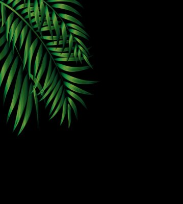 Poster  Feuilles de palmier vert foncé sur fond noir