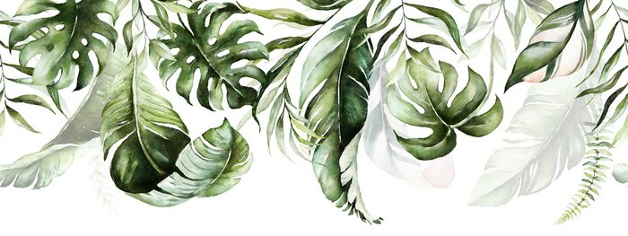 Poster  Feuilles de plantes exotiques