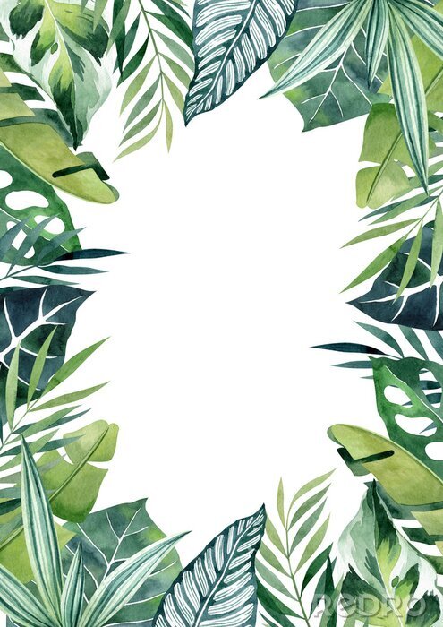 Poster  Feuilles tropicales formant une bordure