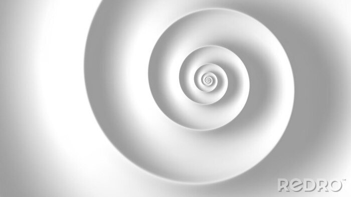 Poster  Fibonacci spiral white abstract background