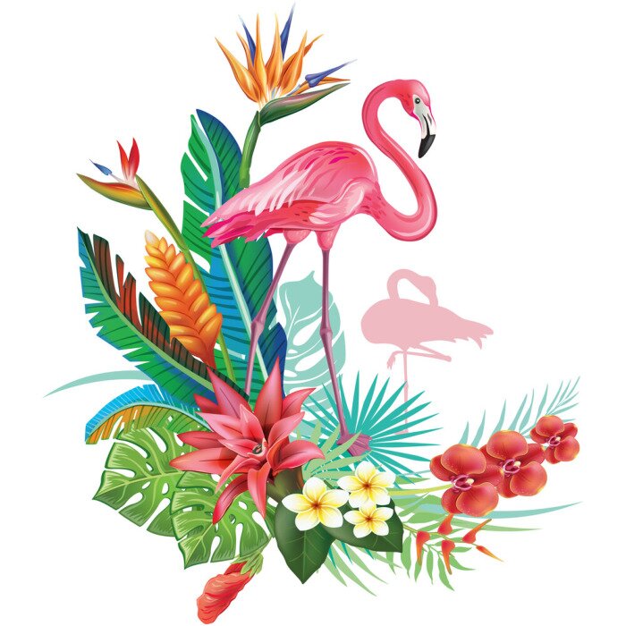 Poster  Flamant rose sous les tropiques