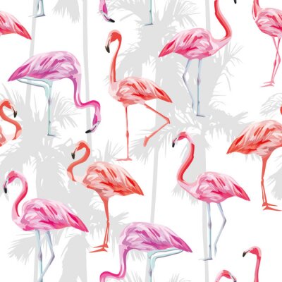 Flamants roses et orange
