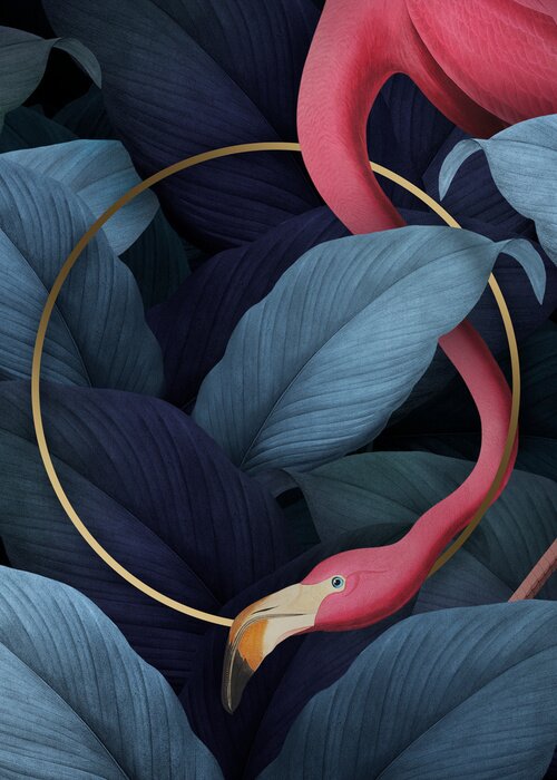 Poster  Flamingo et une jante d'or