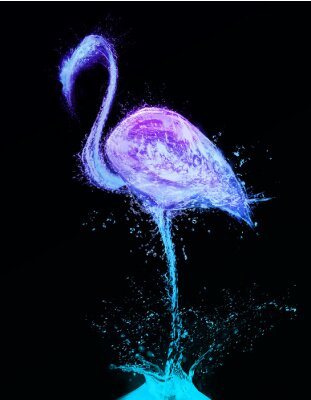 Sticker  Flamingo projections d'eau. Résumé oiseau