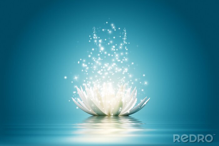 Poster  Fleur blanche sur fond bleu