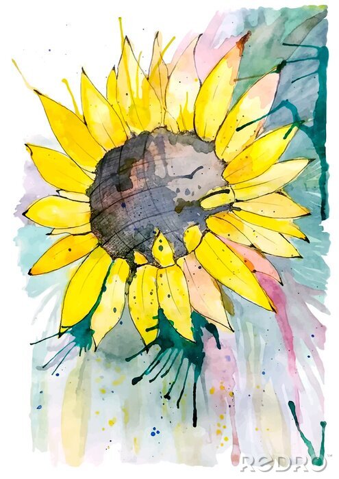 Poster  Fleur de tournesol et taches de peinture renversées