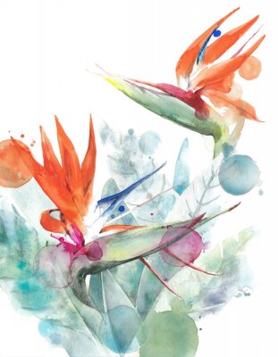 Poster  Fleurs colorées aquarelles