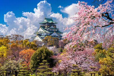 Poster  Fleurs de cerisier et château japonais