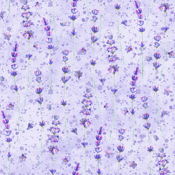 Poster  Fleurs de lavande sur un fond aquarellé dans les tons violets