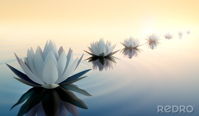 Poster  Fleurs de lotus irréalistes