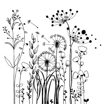 Poster  Fleurs de prairie noir et blanc