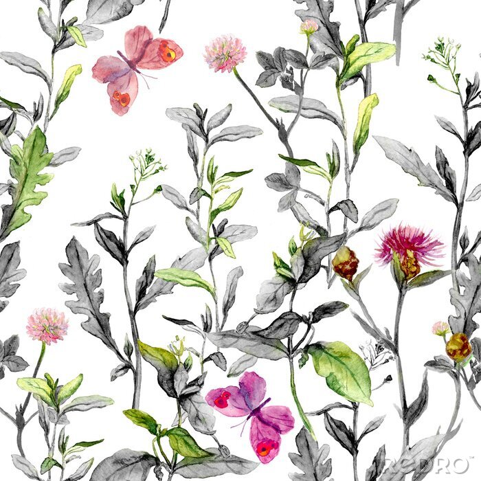 Poster  Fleurs des prés. Fond d'herbes sans couture en couleurs noir-blanc. Aquarelle