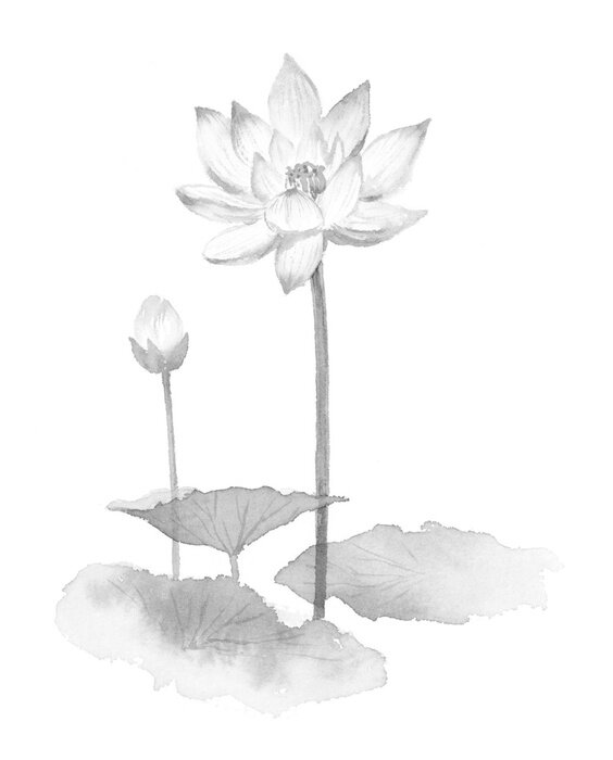 Poster  Fleurs et feuilles grises