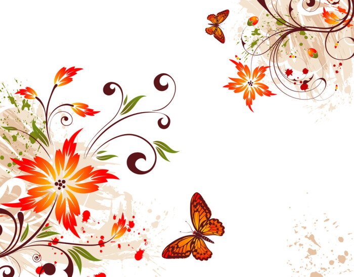 Poster  Fleurs et papillons sur une illustration