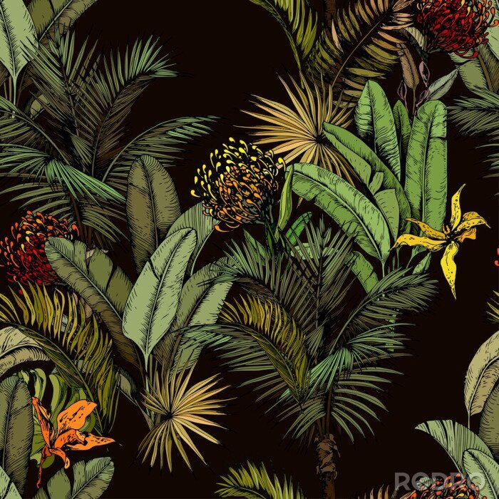 Poster  Fleurs exotiques et feuilles tropicales sur fond noir