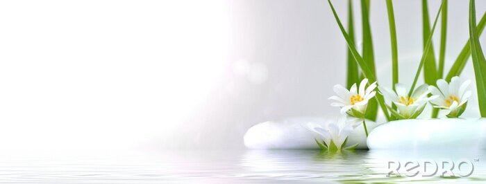 Poster  Fleurs sur la rive