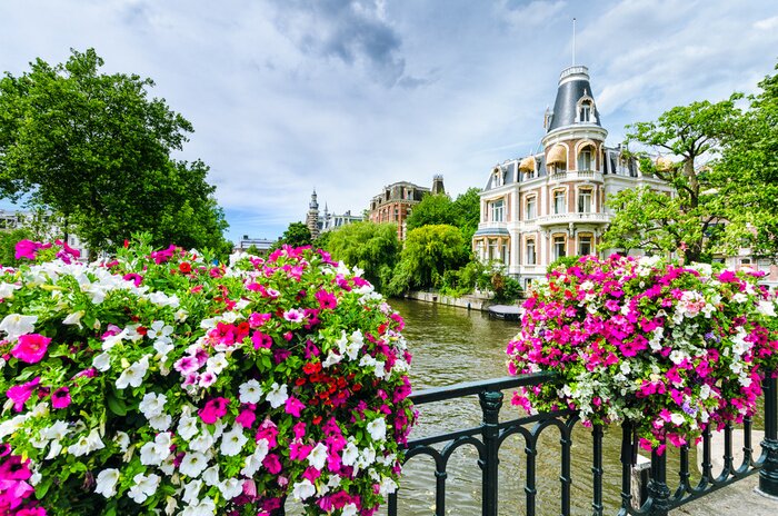 Poster  Fleurs sur le pont d'Amsterdam