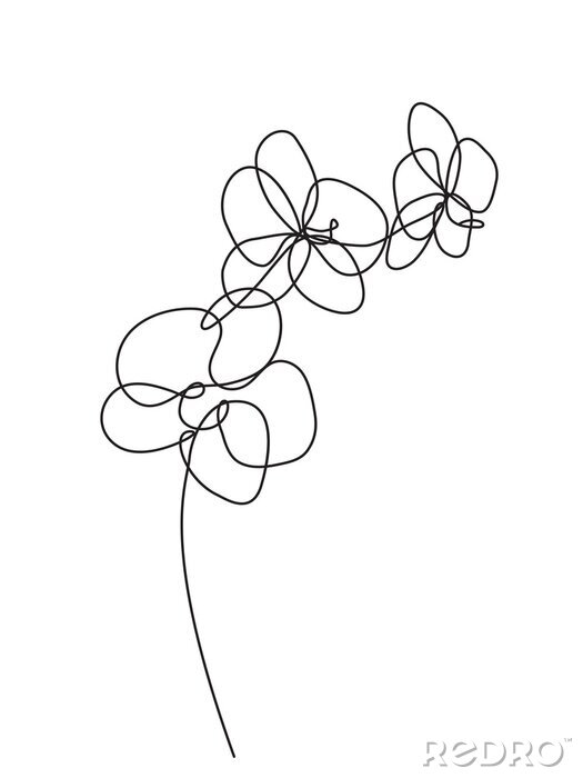 Poster  Fleurs sur une ligne noire de minimalisme de brindille