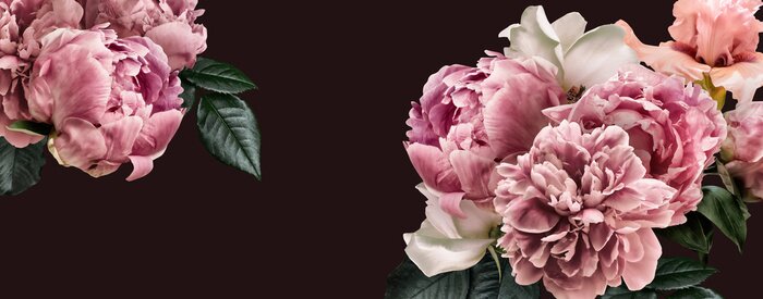 Poster  Floral banner, flower cover or header with vintage bouquets. Pink peonies, white roses isolated on black background.