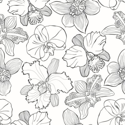 Floral pattern sans couture avec des orchidées différentes dessinées à la main. Vector illustration en noir et blanc Dessin de contour