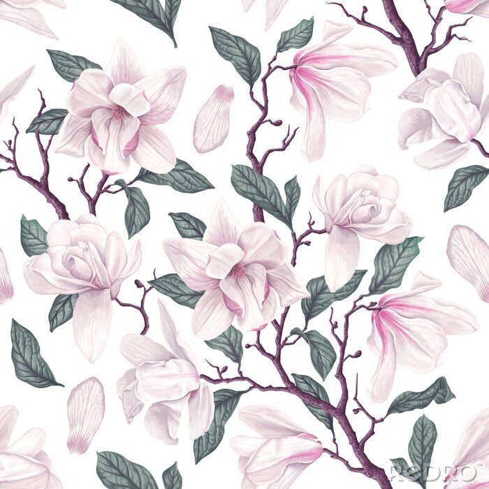 Poster  Floral seamless pattern with white Anise magnolia flowers, leaves and petals on white background. Pastel vintage theme with realistic, vector, spring flowers for fabric, prints, greeting cards.