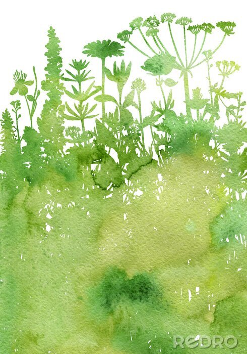 Poster  Fond aquarelle avec dessin d'herbes et de fleurs