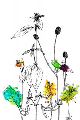 Poster  Fond avec dessin d'herbes et de fleurs