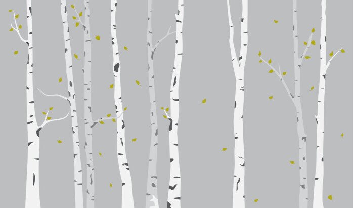 Poster  Fond de silhouette de bouleau