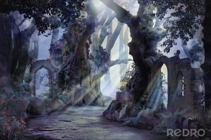 Poster  Forêt brumeuse de fantaisie