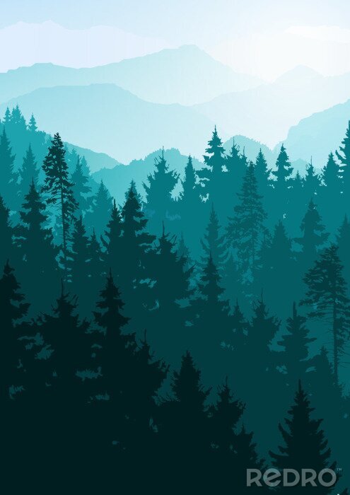 Poster  Forêt d'arbres conifères sur fond de montagne