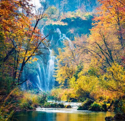 Forêt d'automne et cascade