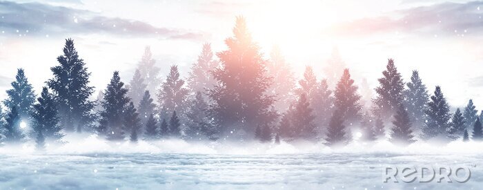 Poster  Forêt d'hiver vue contre le soleil