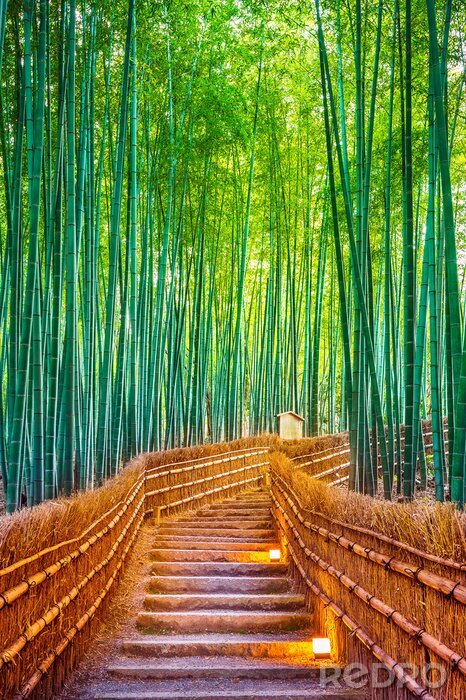 Poster  Forêt de bambou près d'un pont