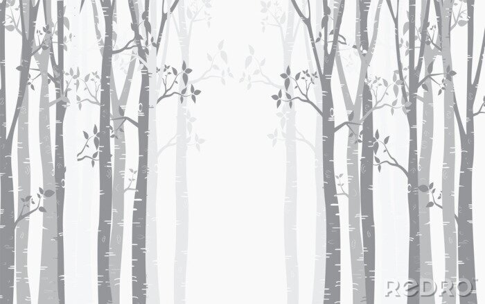 Poster  Forêt de bouleaux d'hiver au lever du soleil