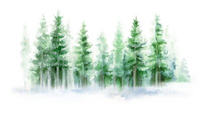 Papier peint  Forêt de conifères aquarelle