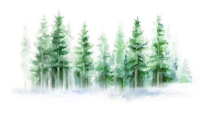 Poster  Forêt de conifères aquarelle