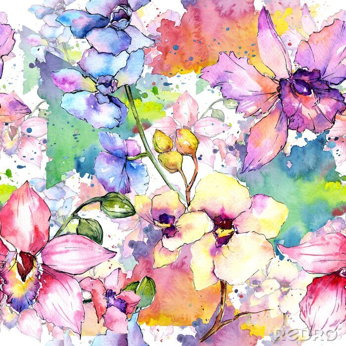 Poster  Foret de fleurs d'orchidées aux fleurs sauvages dans un style aquarelle. Nom complet de la plante: orchidée colorée. Aquarelle fleur sauvage pour l'arrière-plan, la texture, le motif de l'enveloppe, l