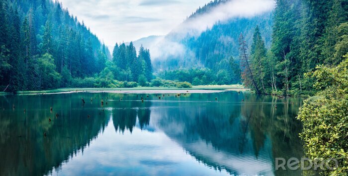 Poster  Forêt et lac